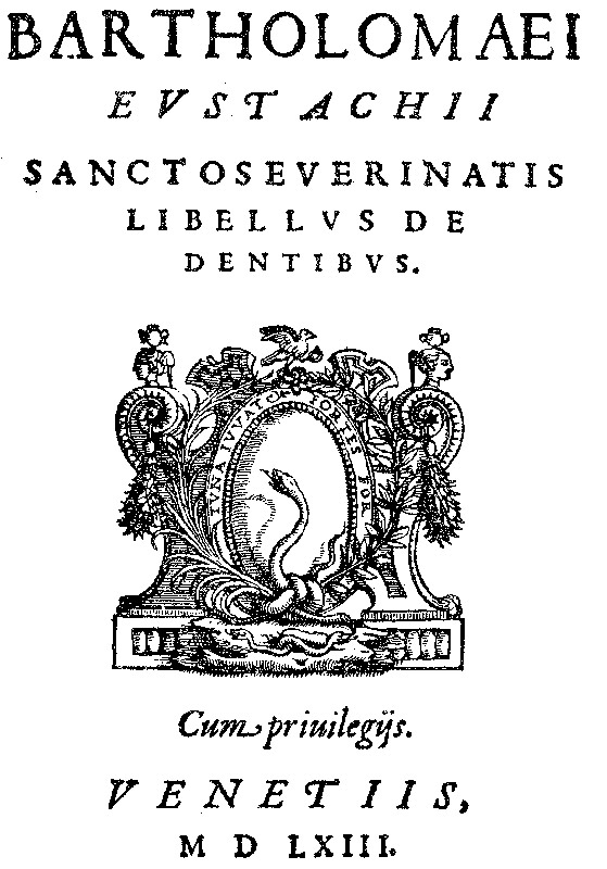 La prima monografia a stampa sui denti - 1563