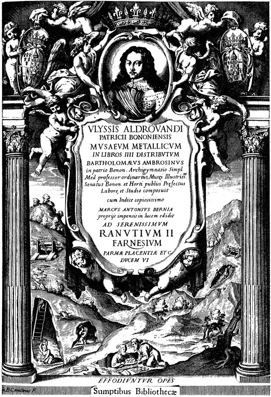 La più vasta collezione di scienze naturali del Rinascimento - 1599-1668