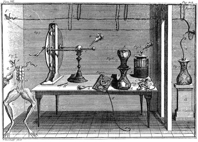 La scoperta dell'elettricità animale - 1791